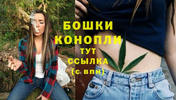 гашик Костерёво
