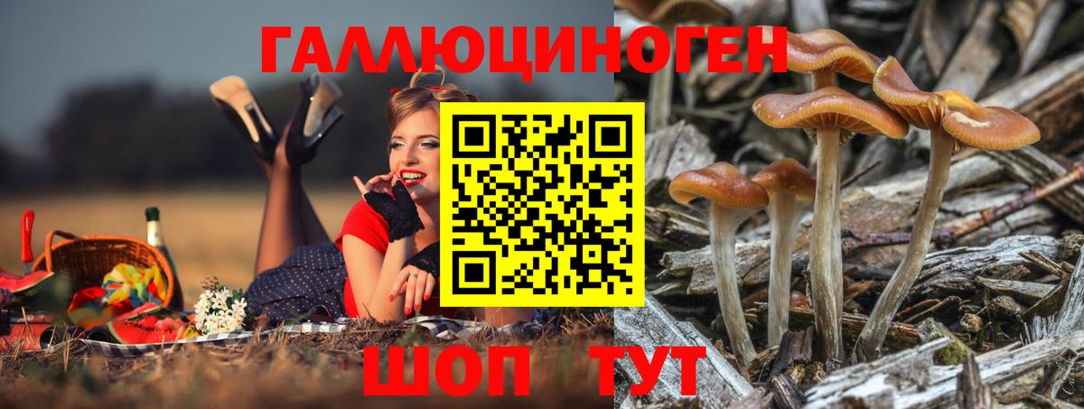 Галлюциногенные грибы Cubensis  Псилоцибиновые грибы ЛСД  Луховицы  Вход с VPN 